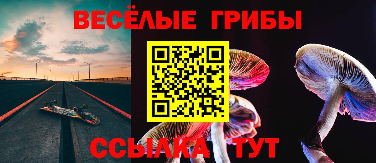 Унеча  Галлюциногенные грибы Magic Shrooms  Вход с VPN 